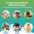 cat and cog intolerance symptoms