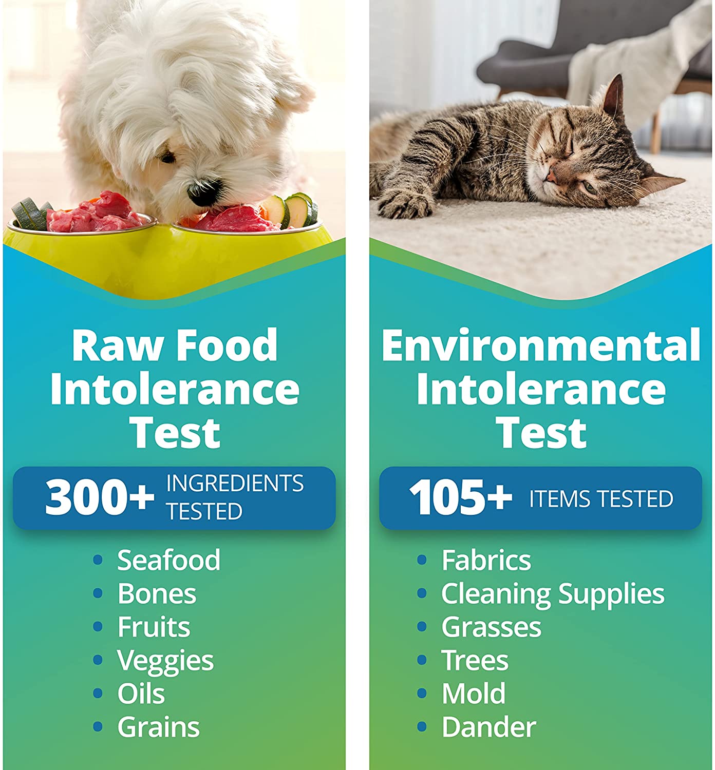 Pet Raw Food And Environmental Intolerance Test Dogs And Cats 5strands